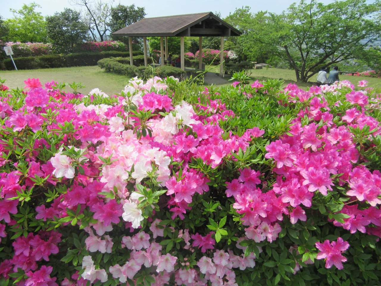 Sue Ritsu Sarayama Park