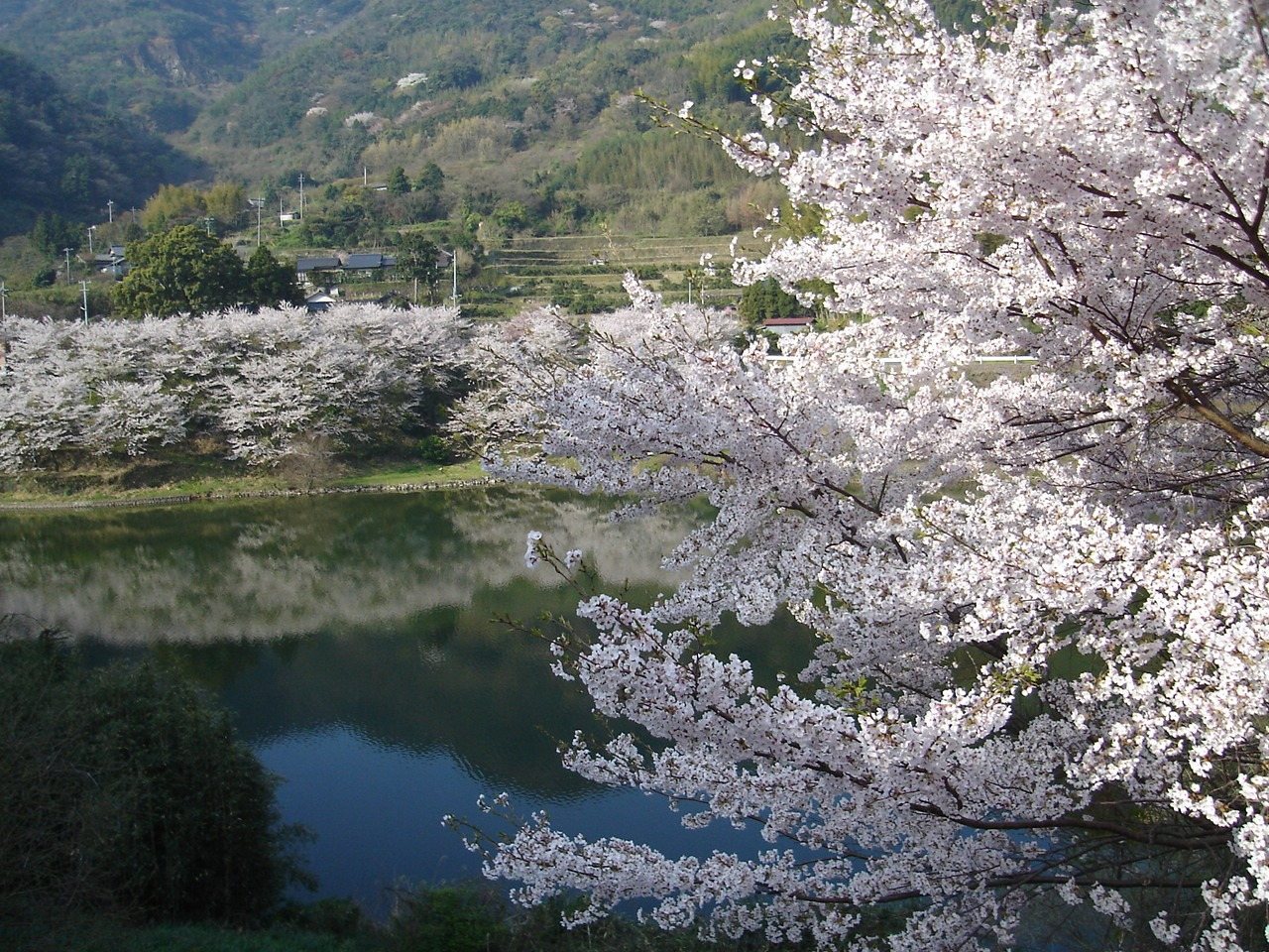 Yashiro Damu Park