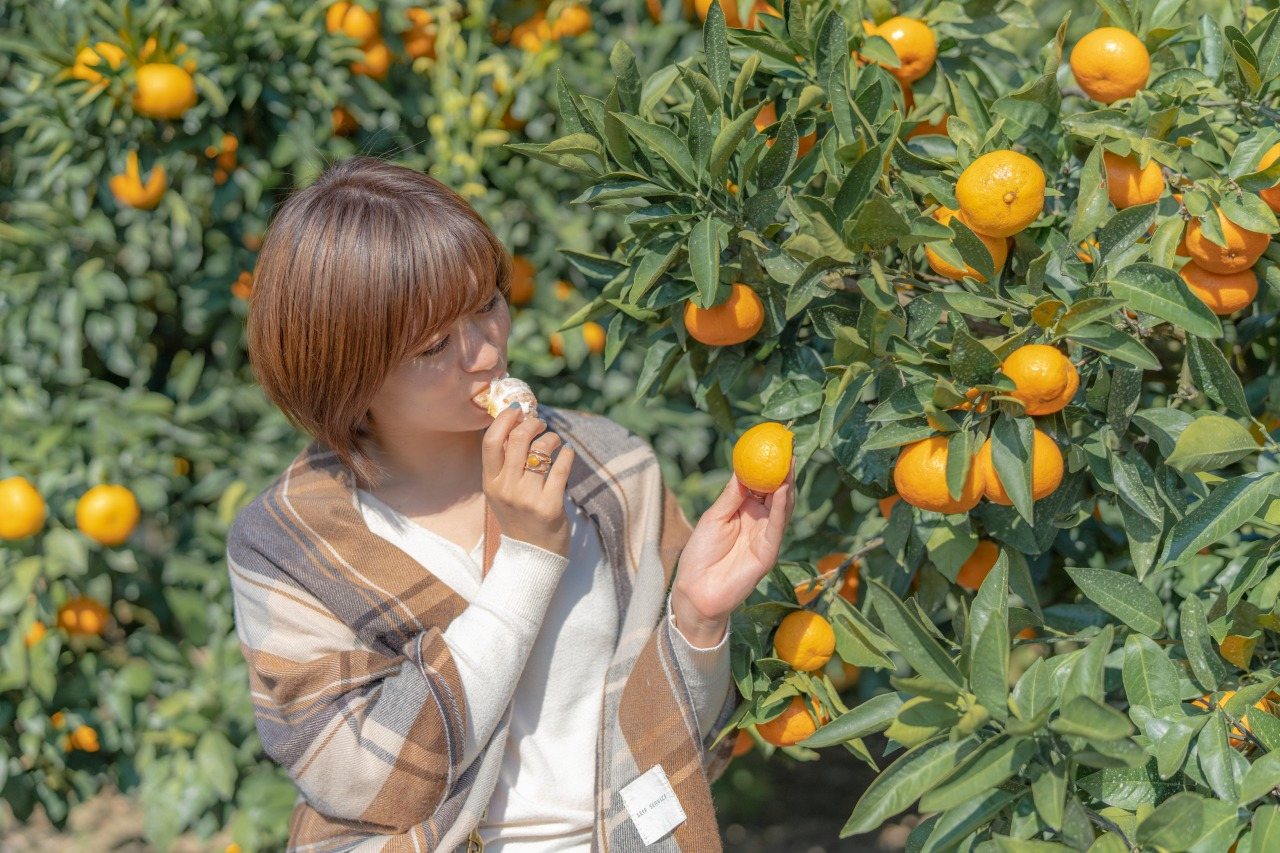 Suoooshima no Mikan Kari