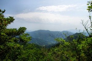 Monju Yama Suse Kano Yama Gen Meisan Haikingukosu
