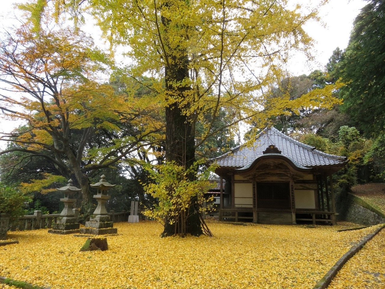 Monju-do Hall, Mount Monju
