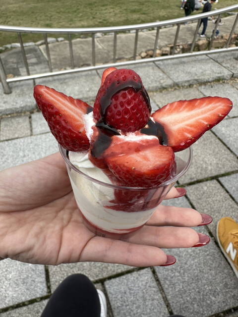 sakura michi