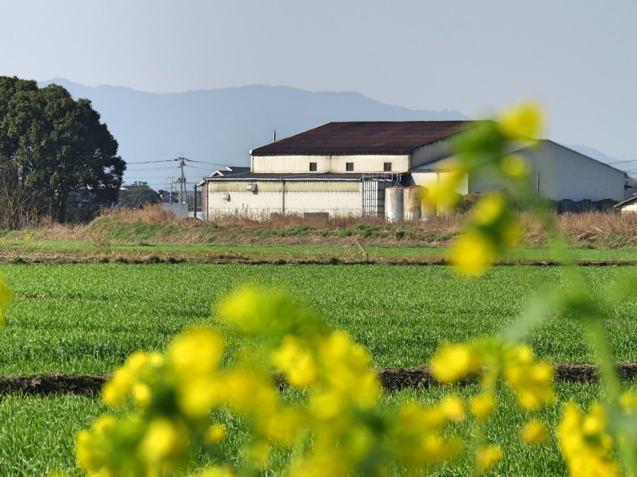 Hakata Shochu Kenjo