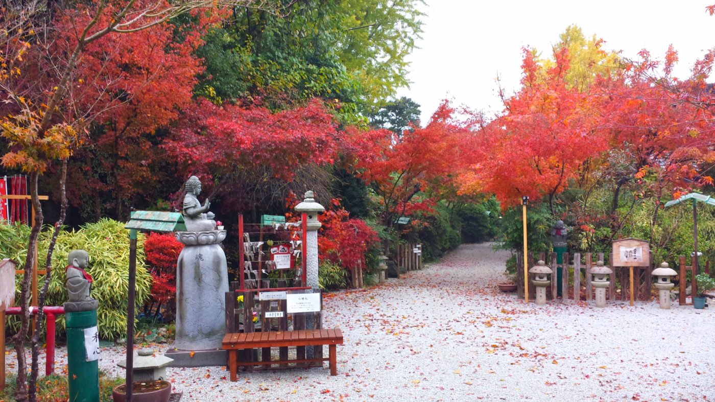 Mitsui-dera (Byodo-ji) Autumn Leaves