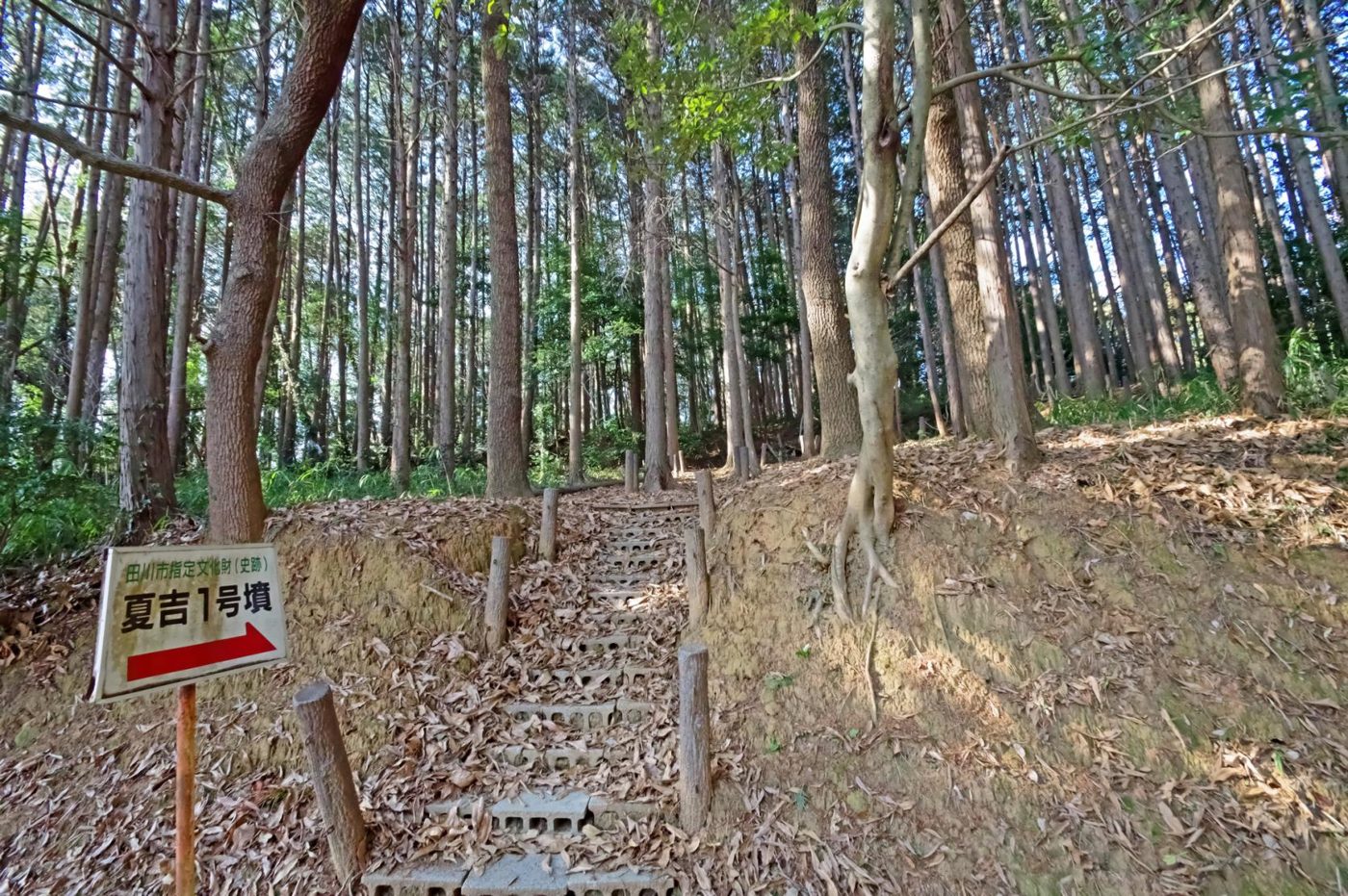 Natsu Kichi 1 Go Burial Mound Natsu Kichi 21 Go Burial Mound