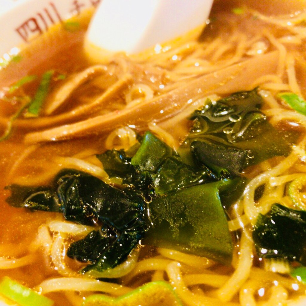 Chinese Restaurant Shisen China