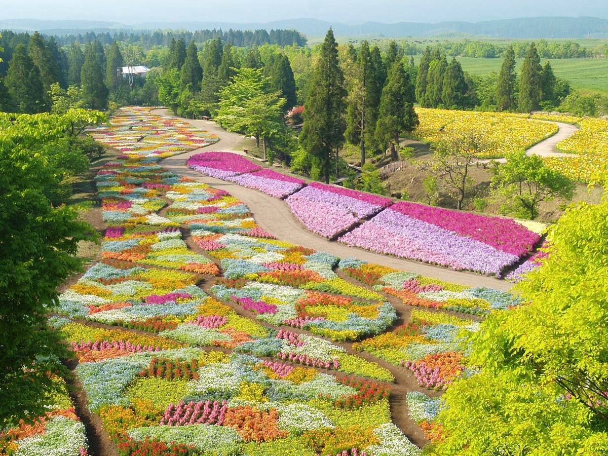 Kuju Flower Park