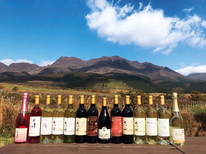 Kuju Winery