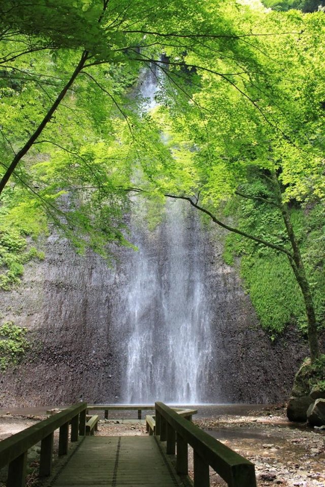 Kiyotaki
