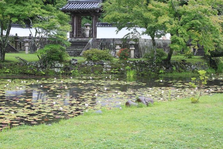 Oka Hanshu Otamaya Park