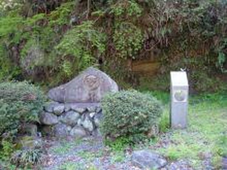 Sato Yoshimi Seika Site
