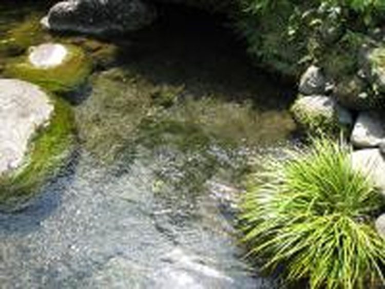 Yahara Yusui