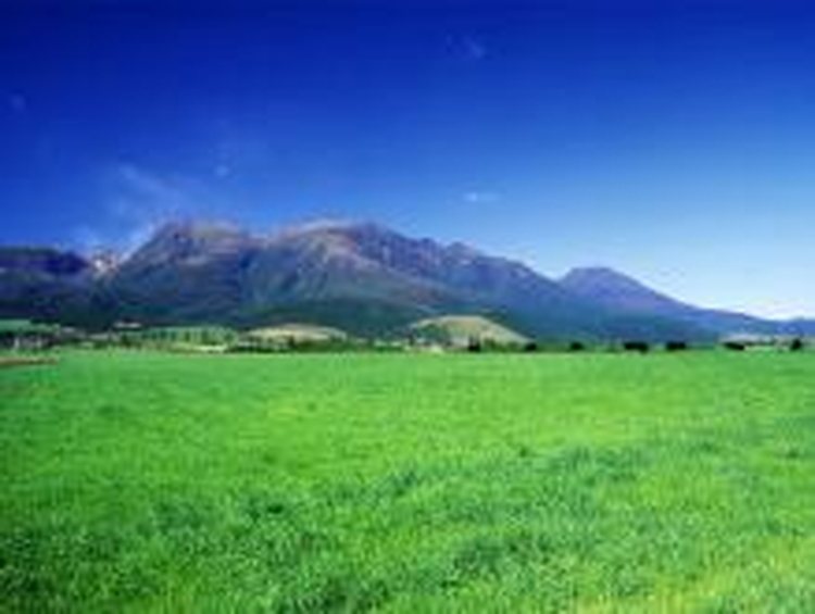 Kuju Highlands