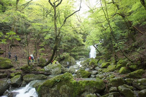 Kamihara Trailhead, a Highlight of the Sobo-Katamuki-Okue UNESCO Eco-Park