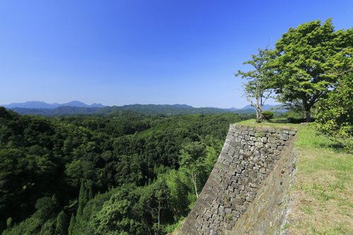 Okajo Site