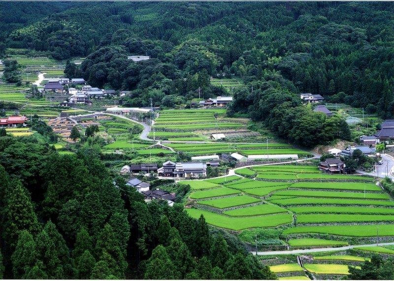 Take Rice Terraces