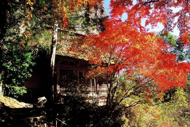 Iwaya Park