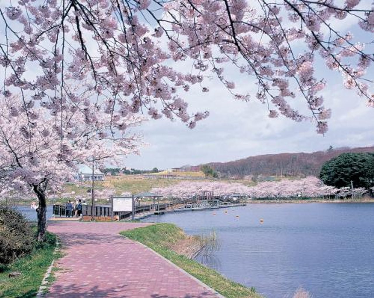 Hiratsutsuma Pond Fureai Park