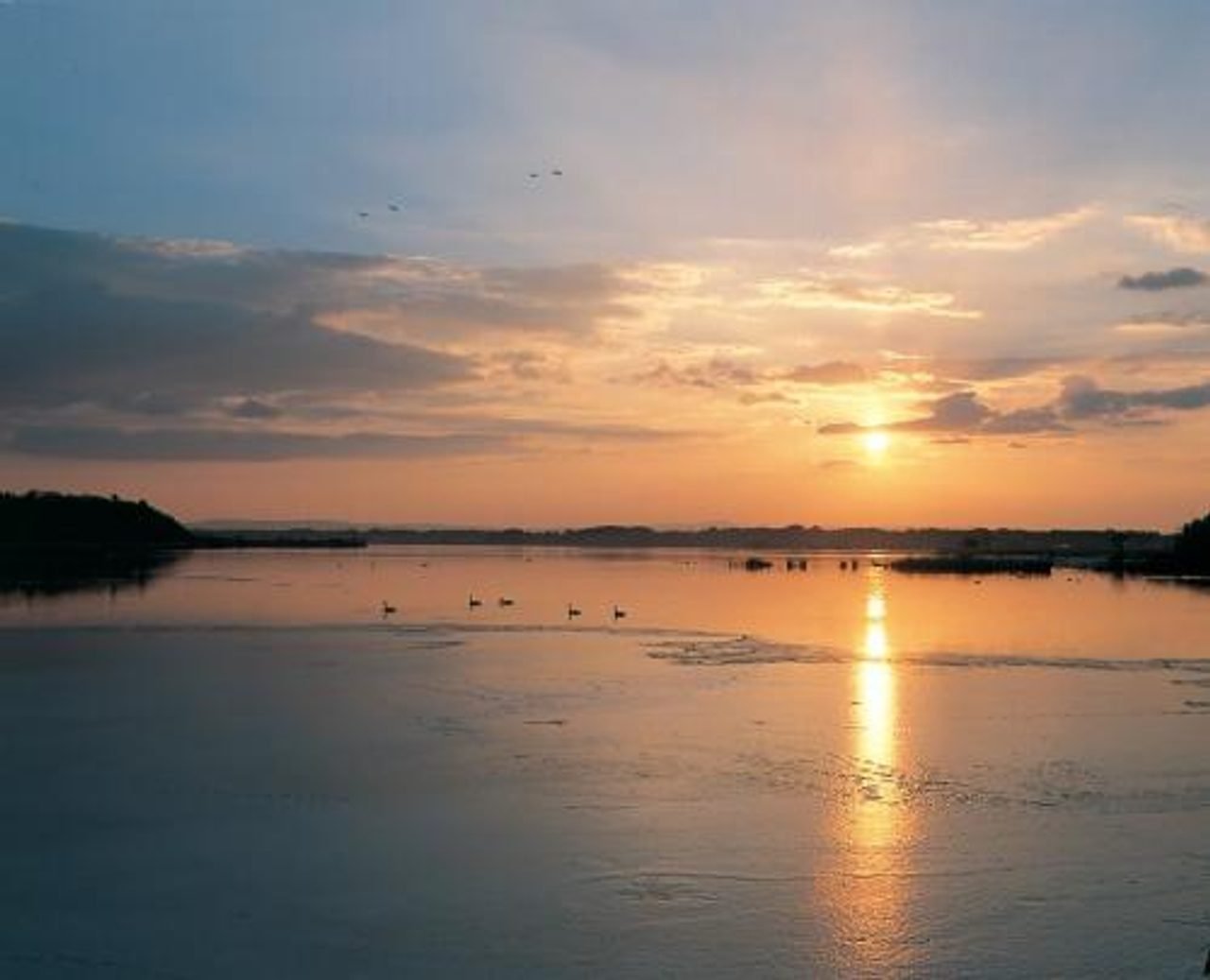 Sunset over Izunuma Pond with swans