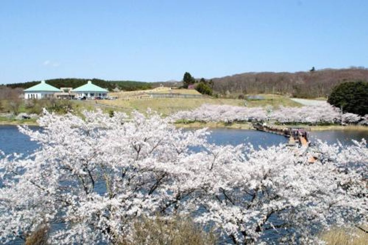 Miyagi Olle Tome Course
