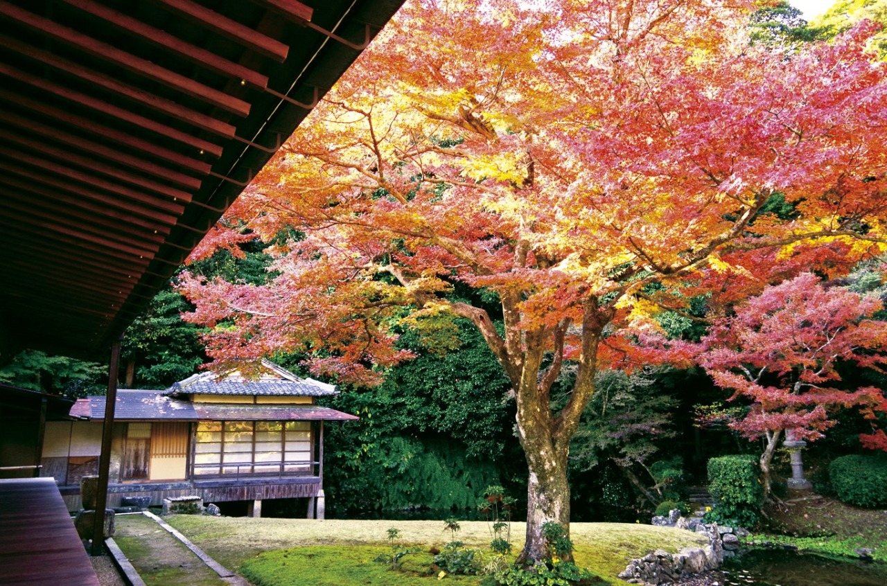 Shutonari-ji Temple