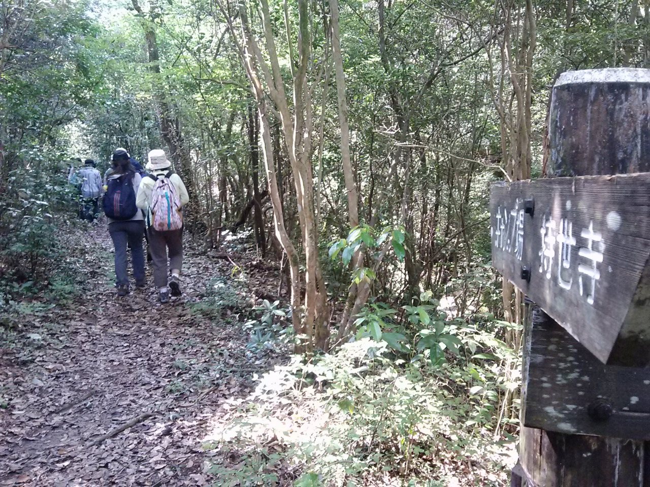 Soko Yama Haikingukosu