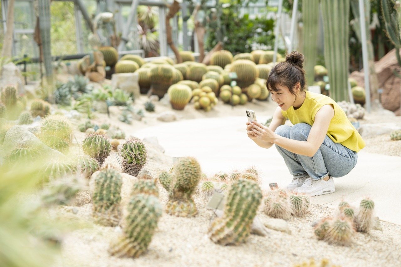 Tokiwa Museum (World Plant Tour Greenhouse)