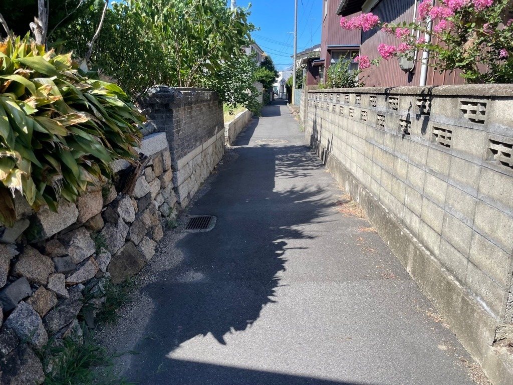 Old-Map Town Walk: Fujiyama