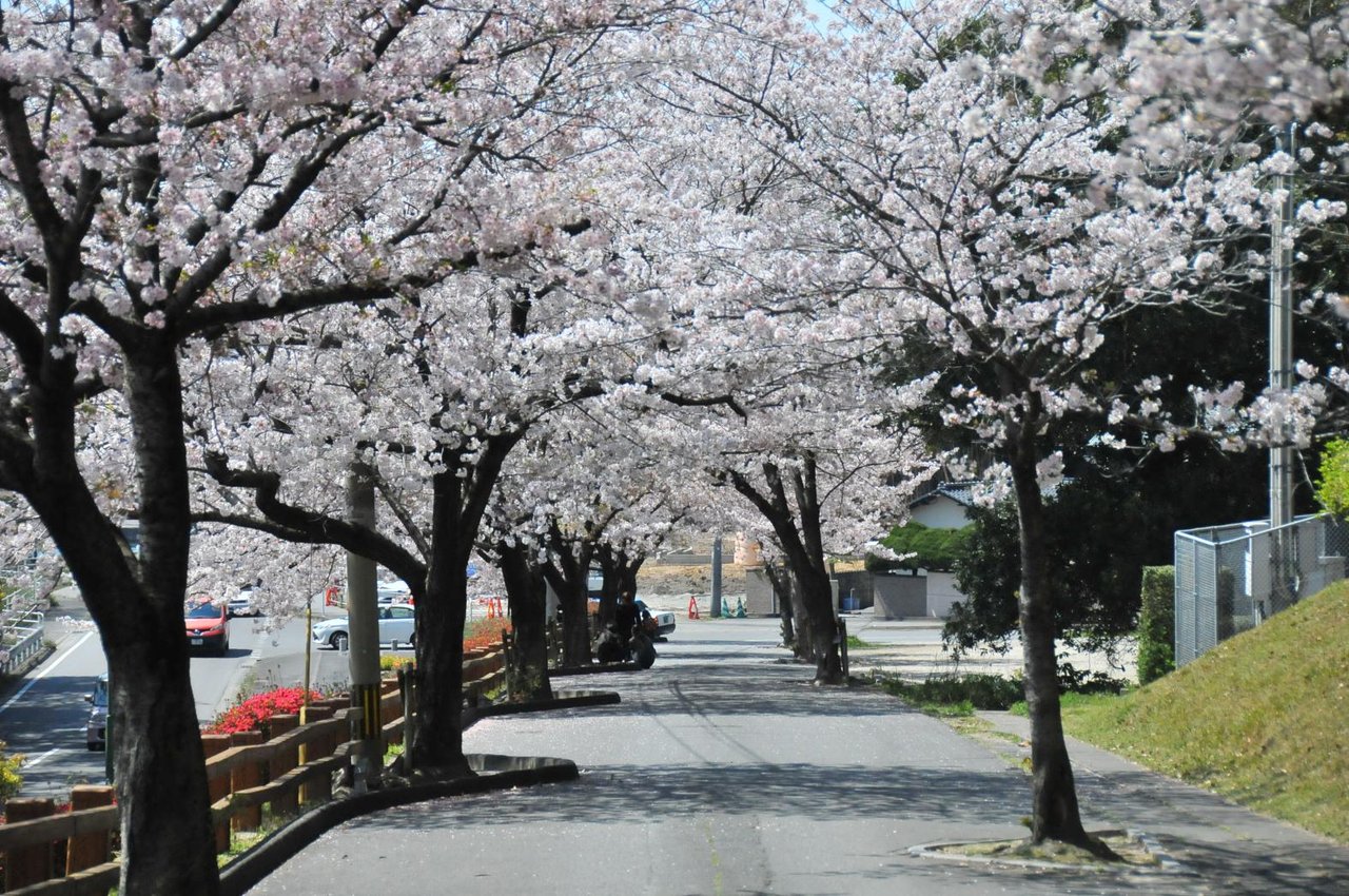 Umi Park