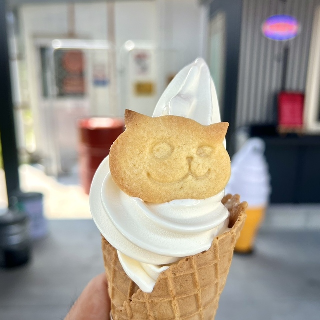 Pit Cafe USA