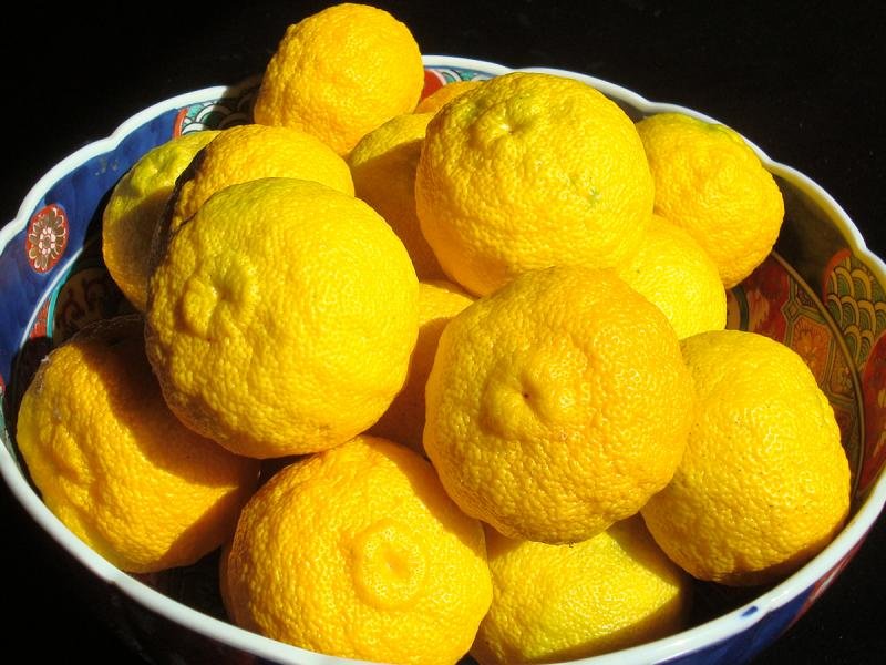 Innai Yuzu