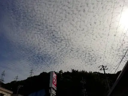 セブンイレブン 岩国和木３丁目店