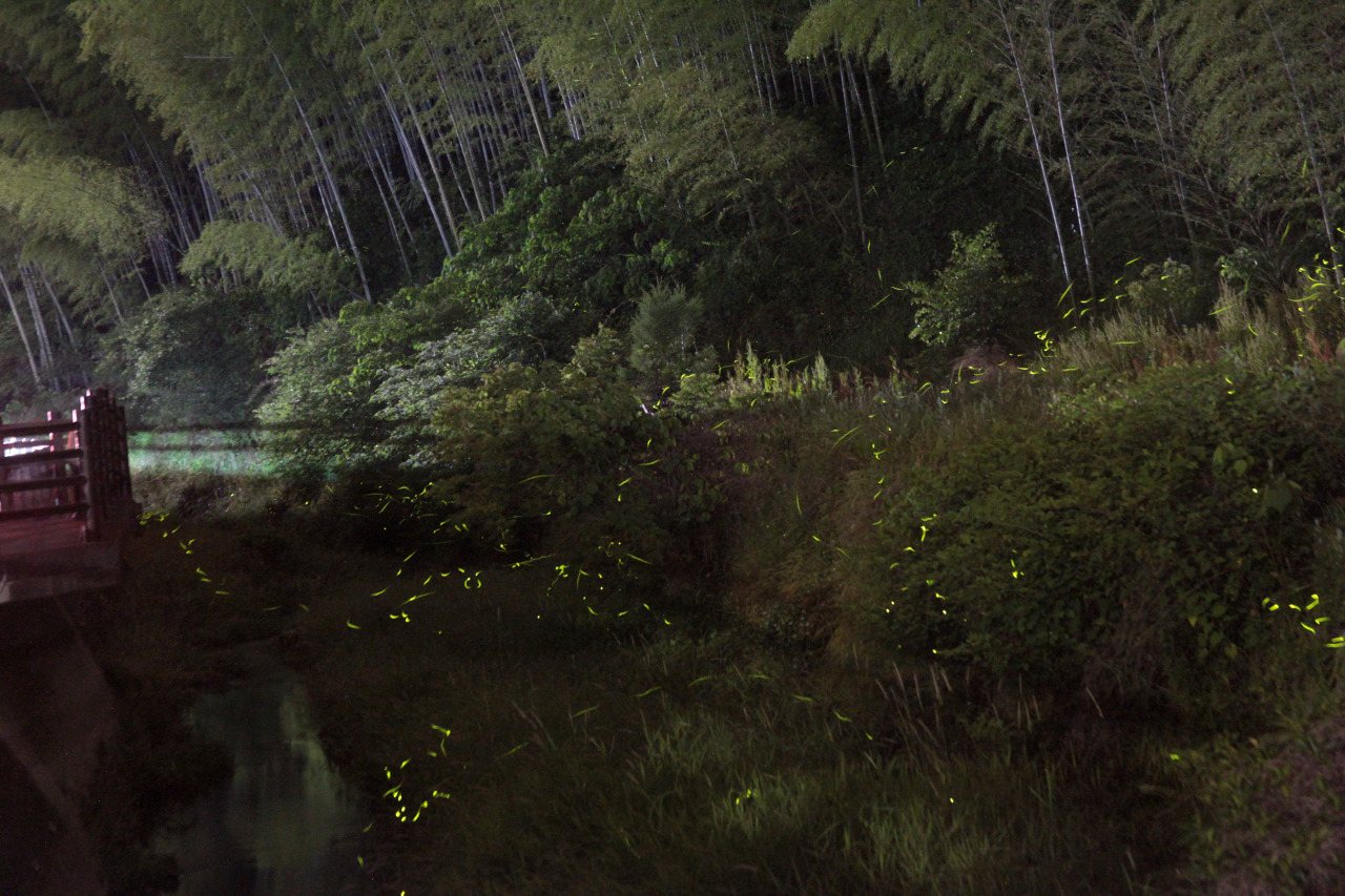 Hotaru Village