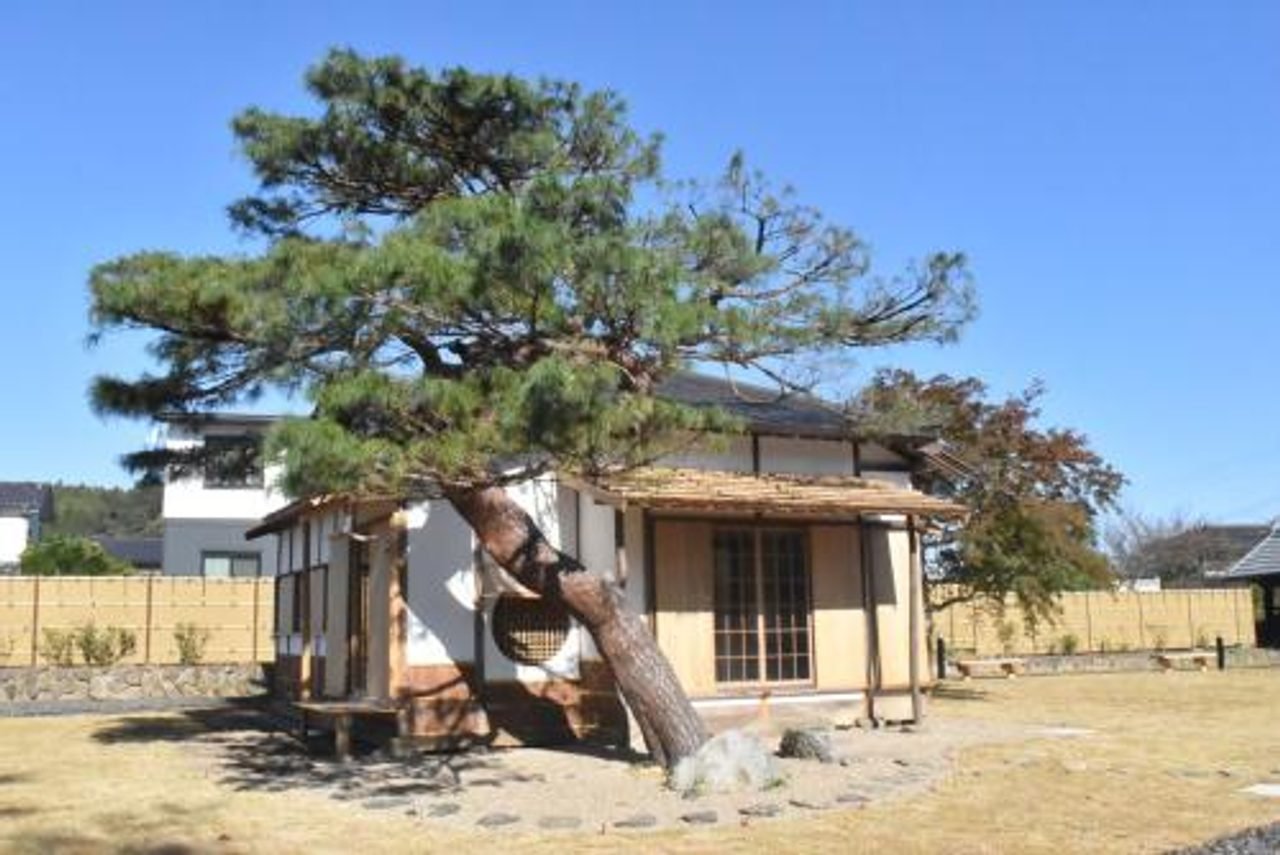 Ojo Family Tea House Shikuntei