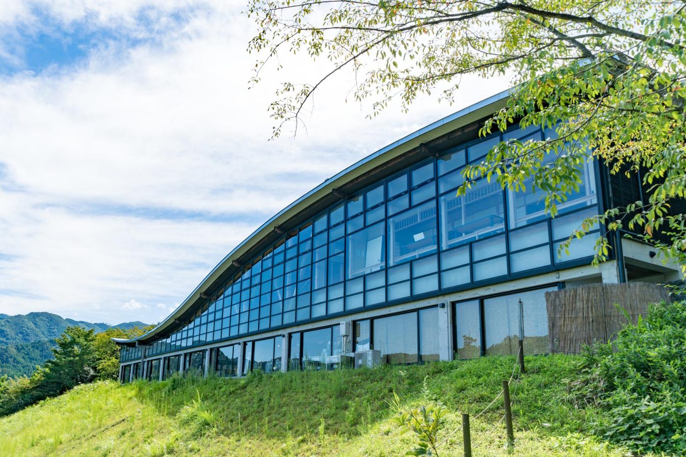 Tea Culture Hall