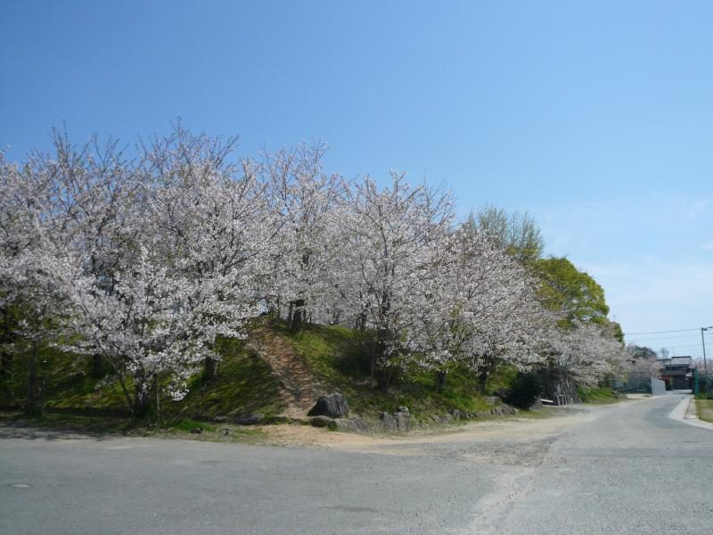 Yanagawa Castle Ruins
