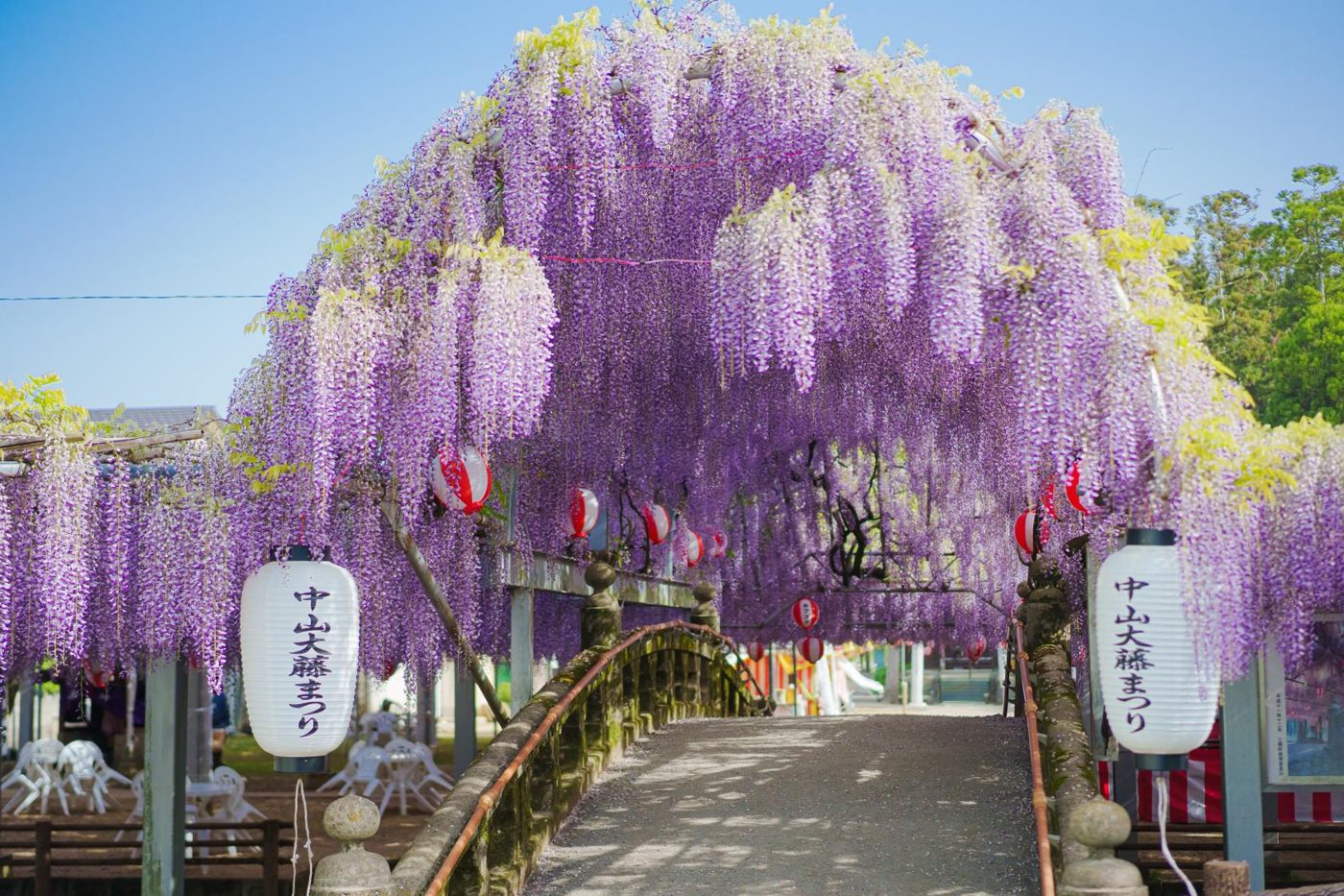 Nakayama Oto Festival