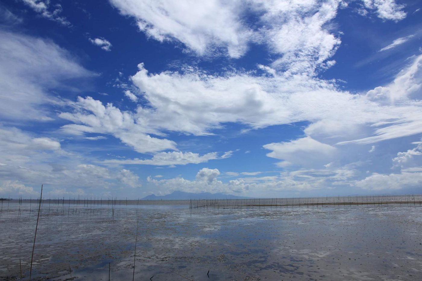 Ariake Sea Tidal Flats