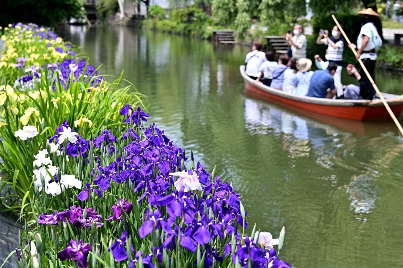 Yanagawa River Cruise
