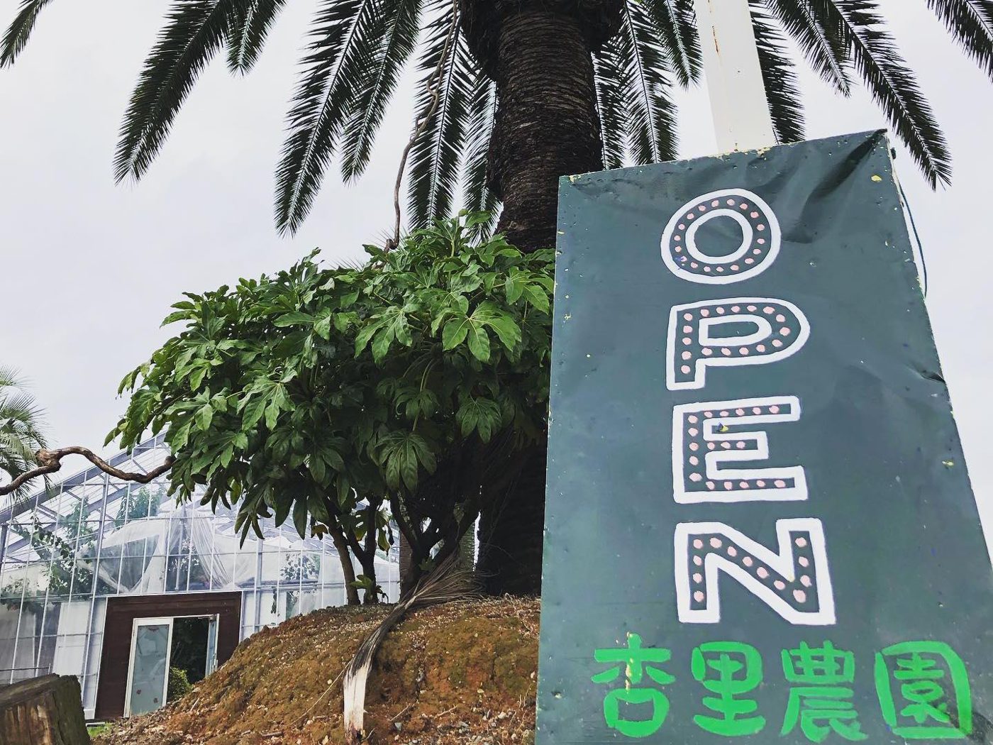 Anri Farm