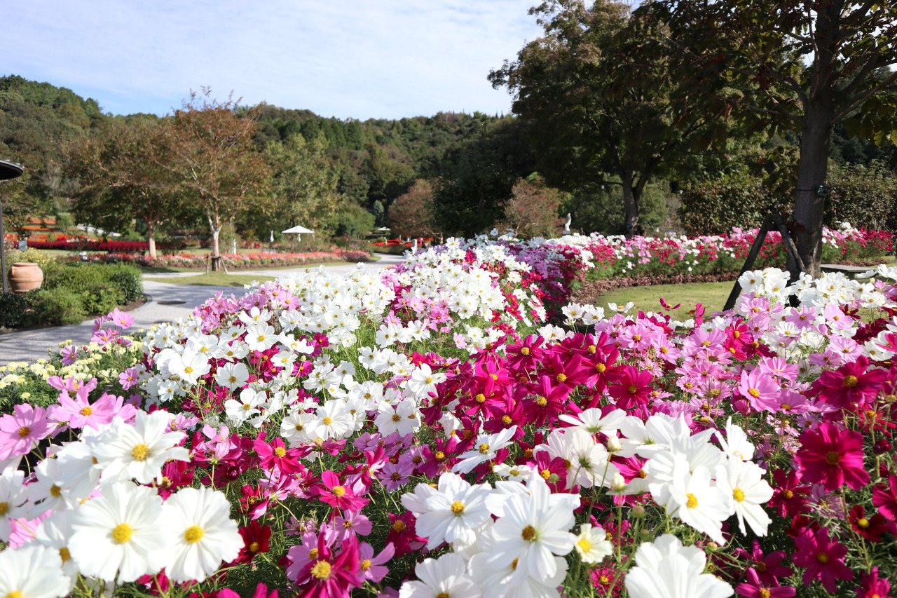 Yamaguchi Flower Land