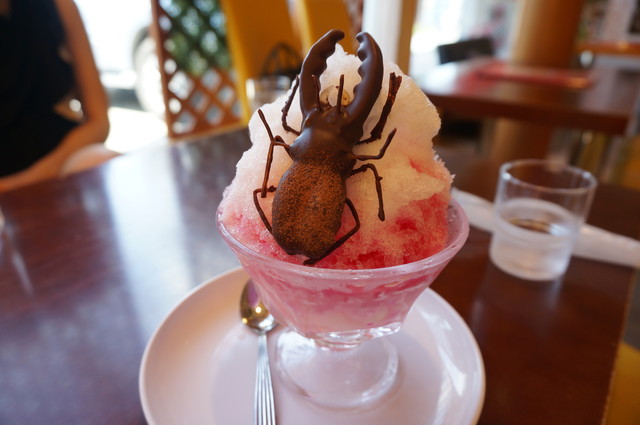 小松屋本店