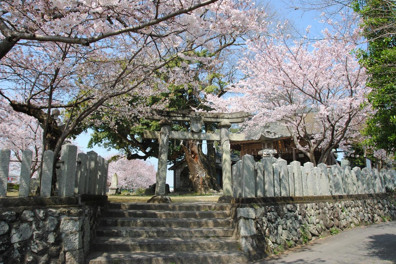 Tsubo Shrine (Yoshitomi)
