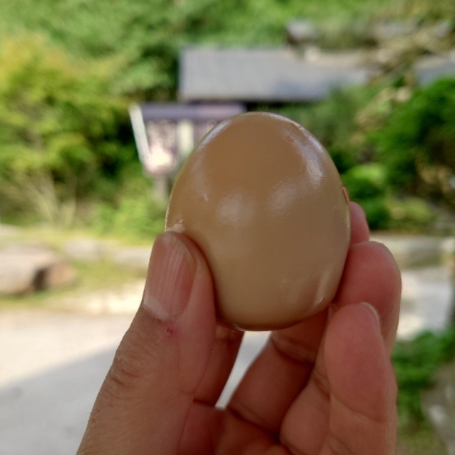 塚原温泉 火口乃泉
