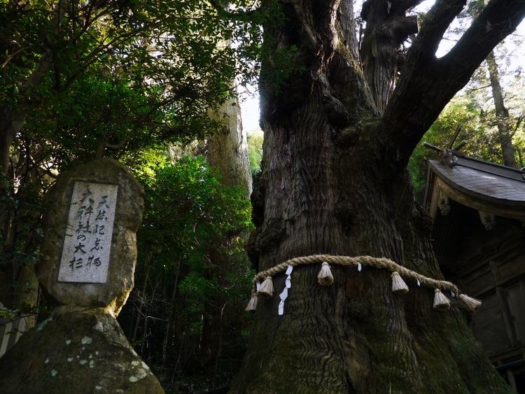 Ogosha Shrine