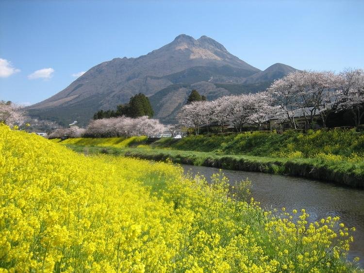 Yufu Gaku