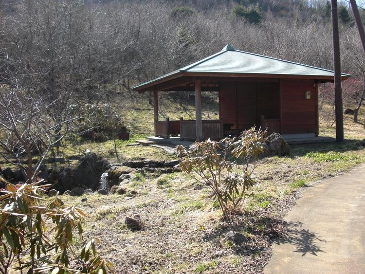 Yufu Yunohira Forest Park