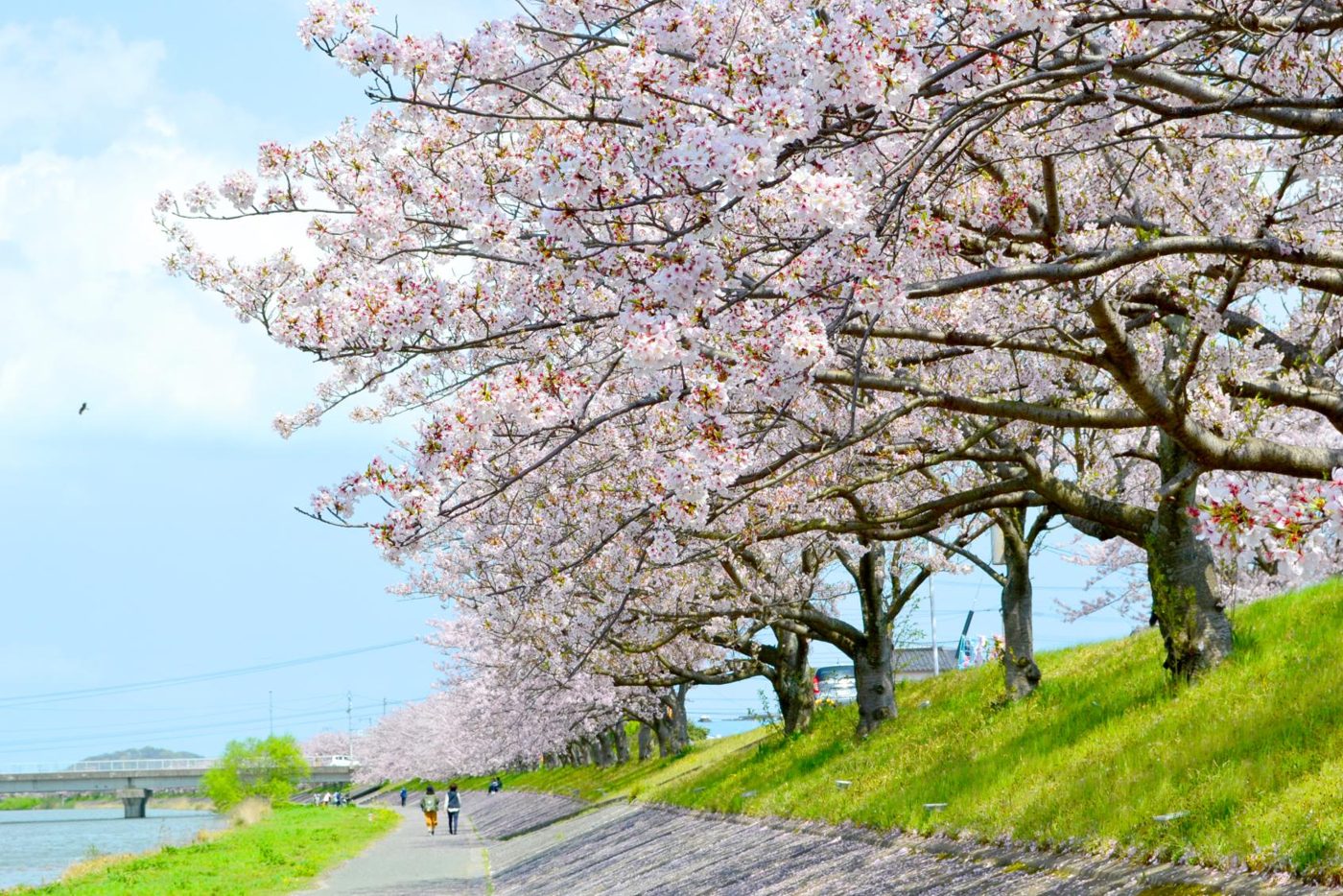 Imagawa Riverside