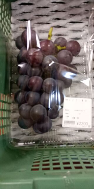 菜らんど
