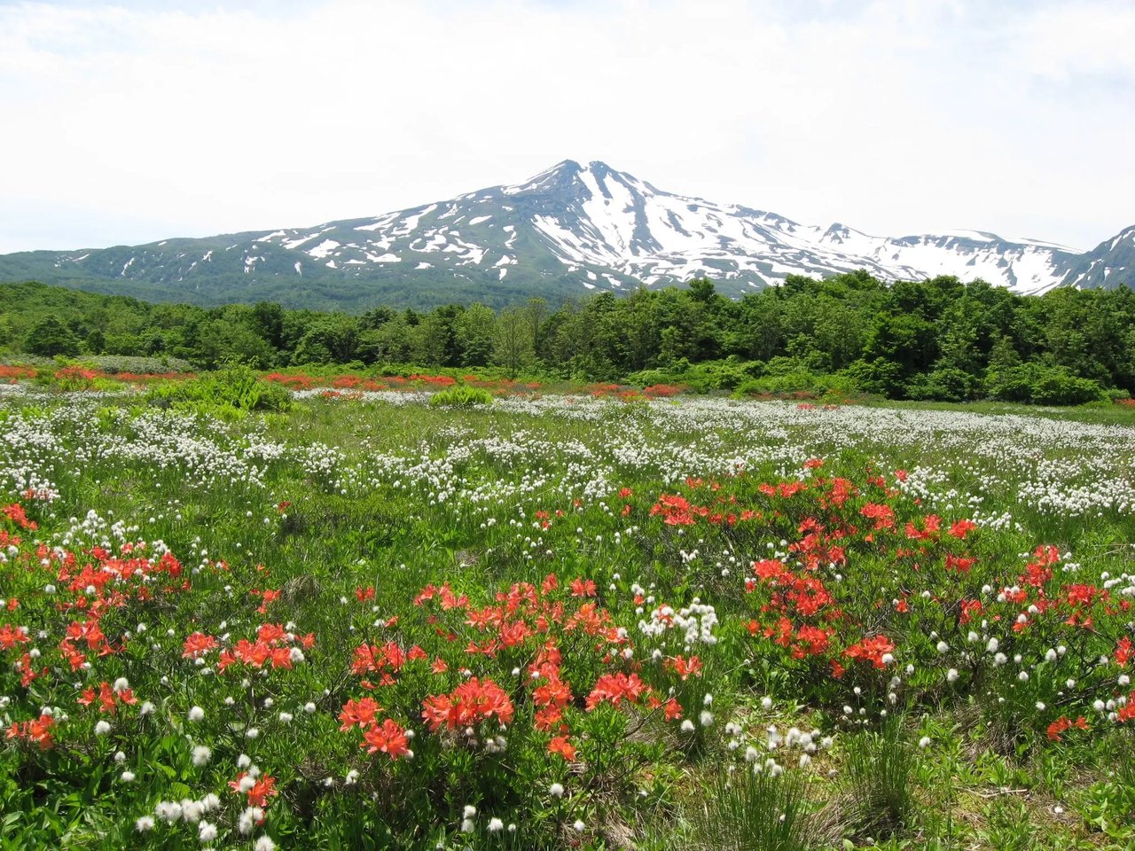 Kuwa no Mokudai Marsh